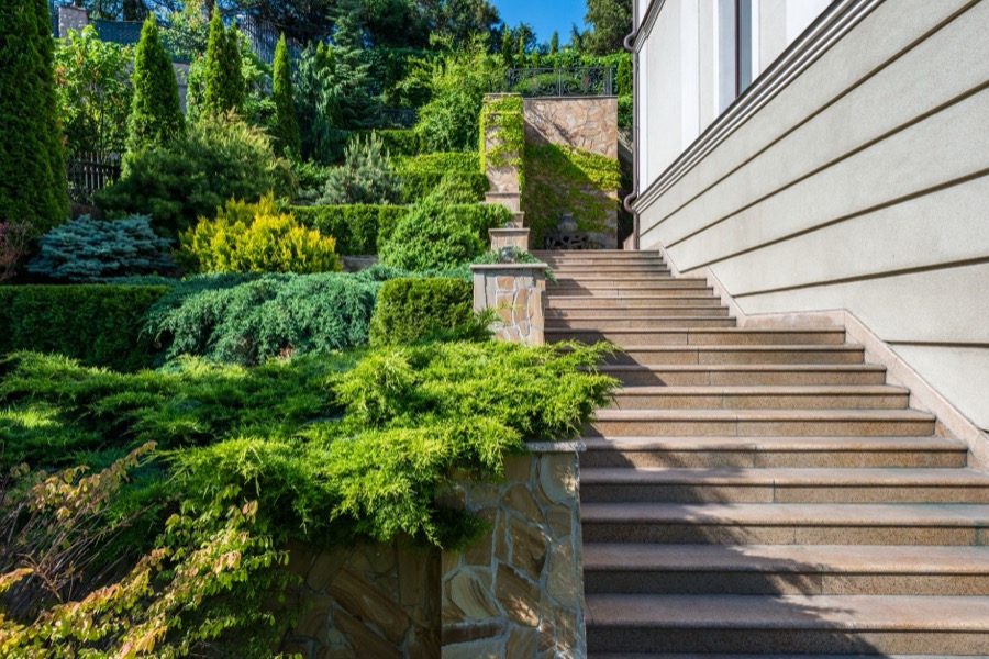 A sloping garden terraced with stone-faced retaining walls, banks planted with layered junipers and evergreens, and stone steps climbing beside the house